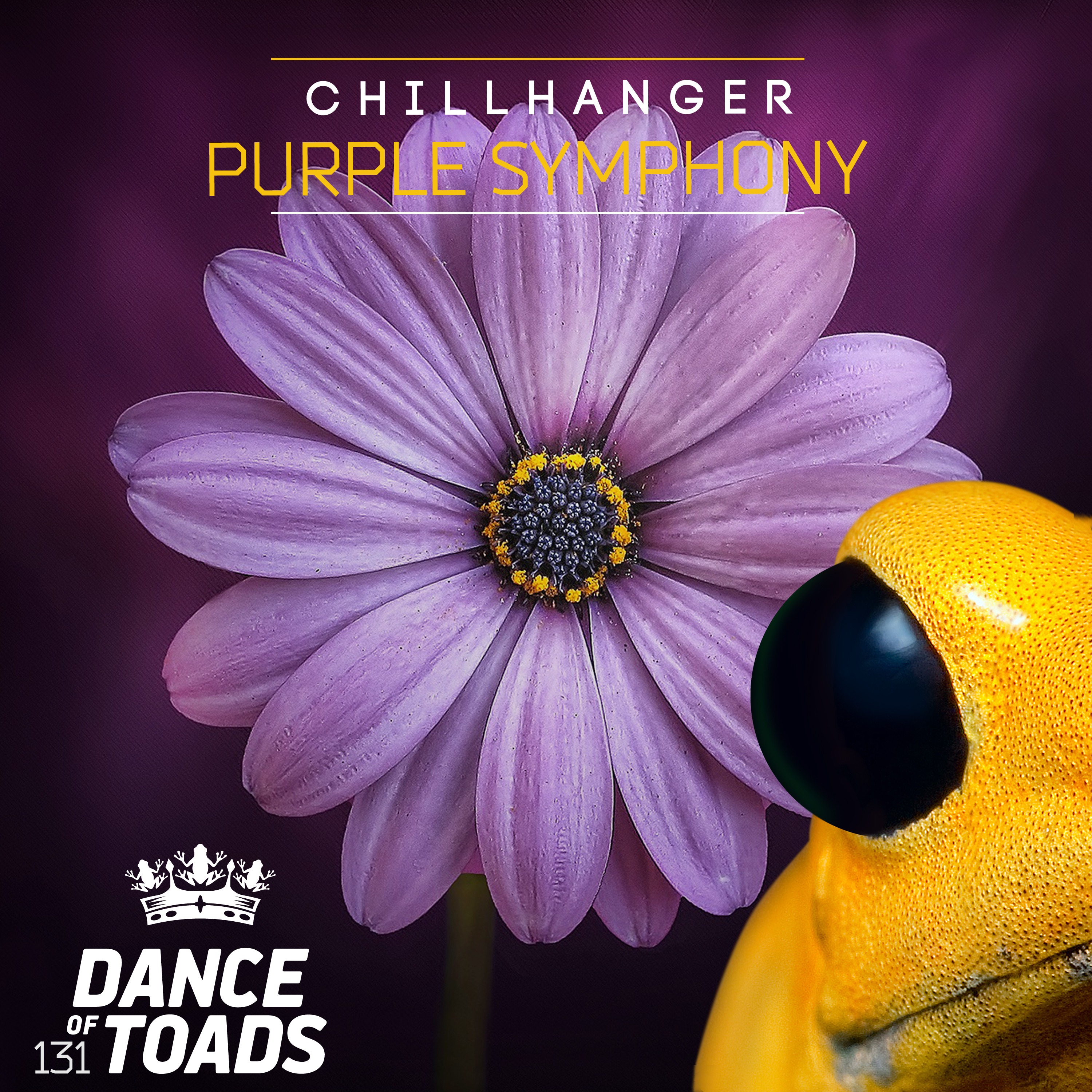 131 Chillhanger Purple Symphony