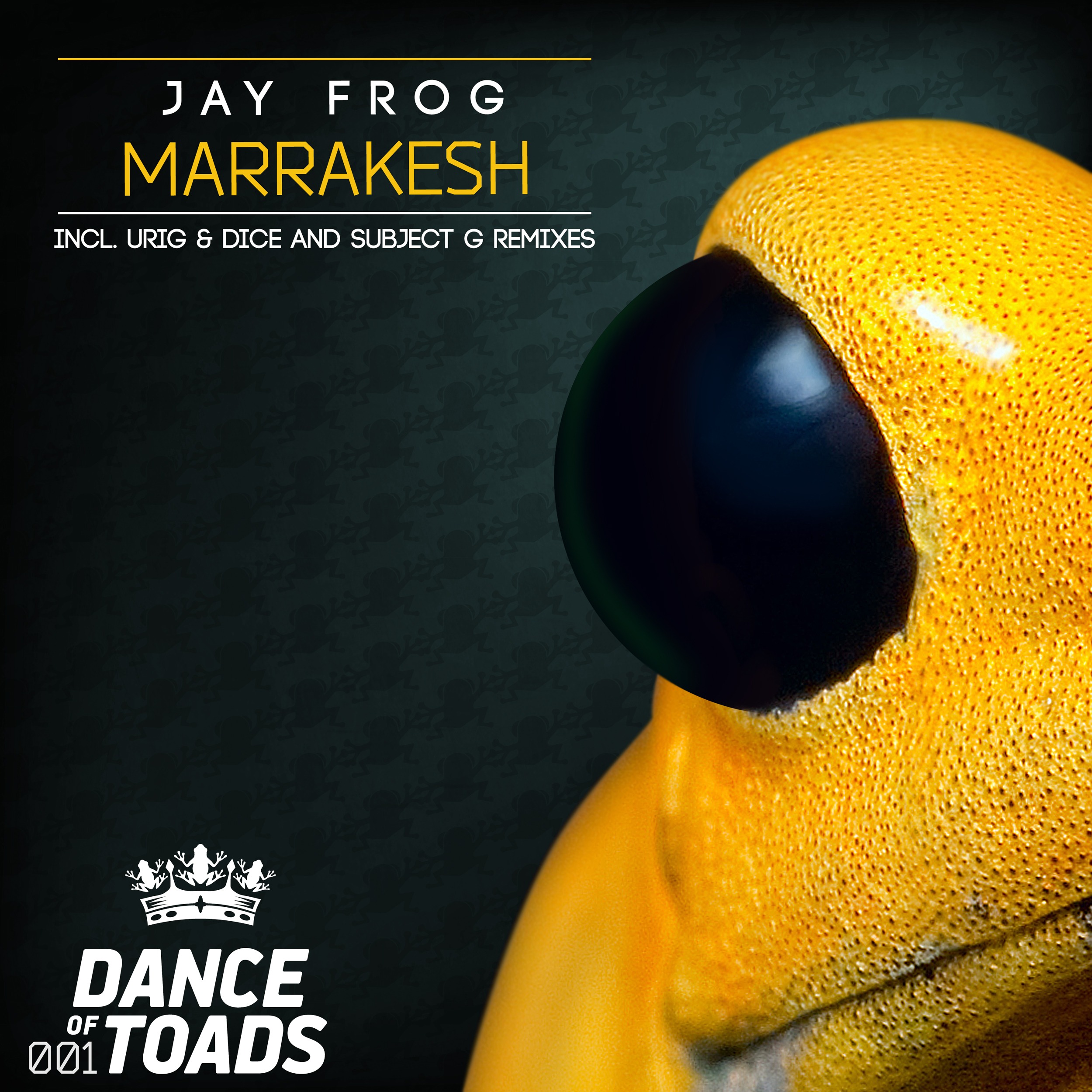 DOT001 Jay Frog - Marrakesh