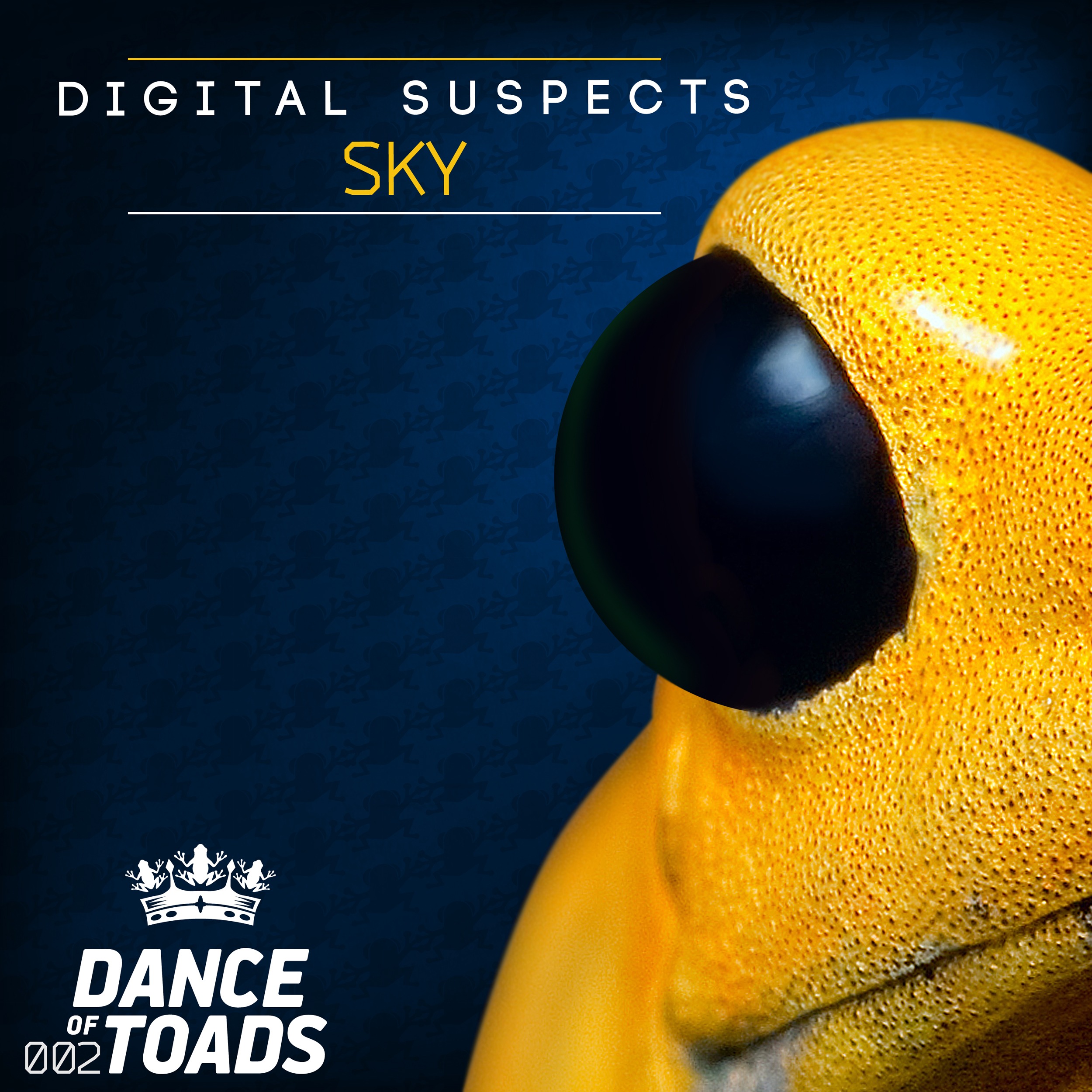 DOT002 Digital Suspects - Sky
