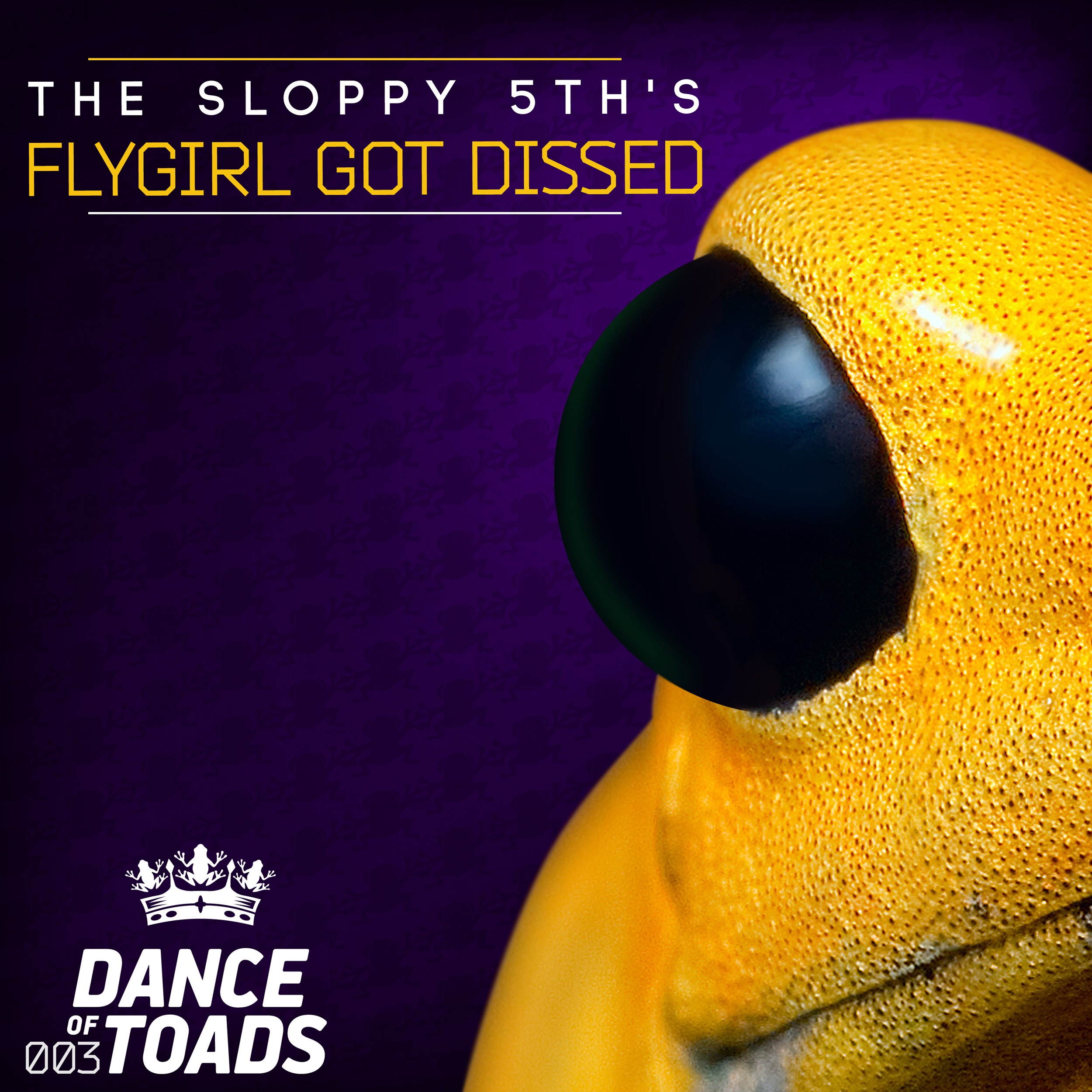 DOT003 The Sloppy 5th´s - Flygirl Got Dissed